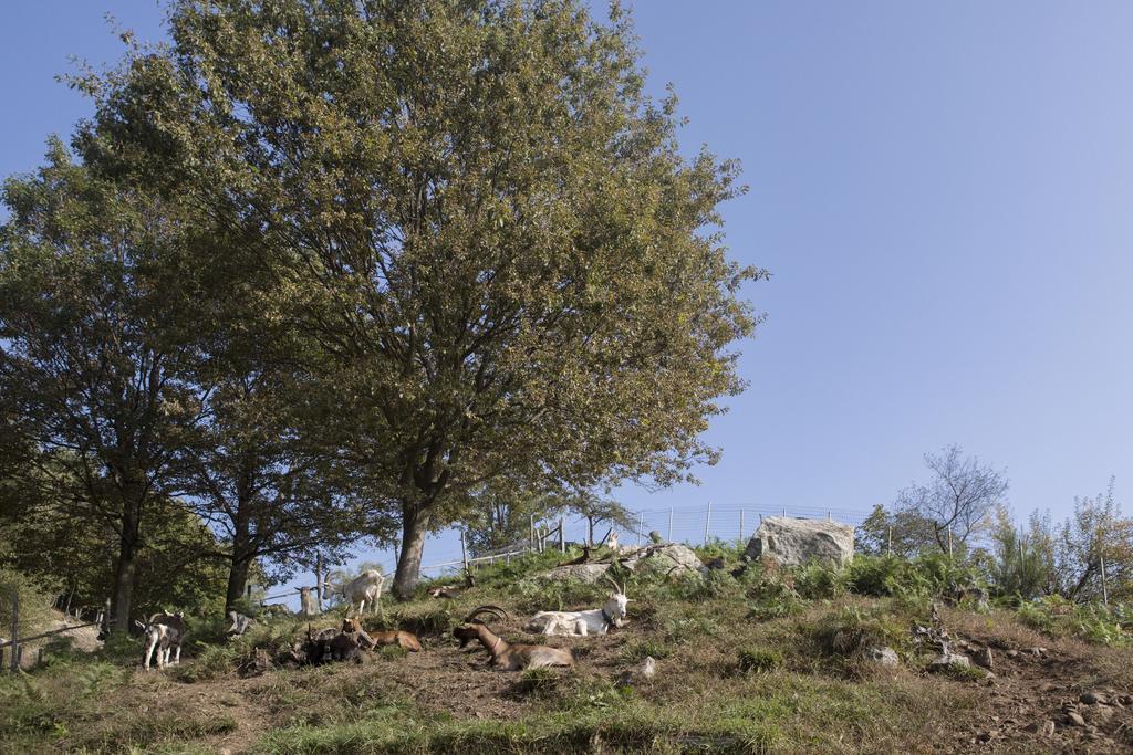 Agriturismo Da Attilio Каннобио Экстерьер фото