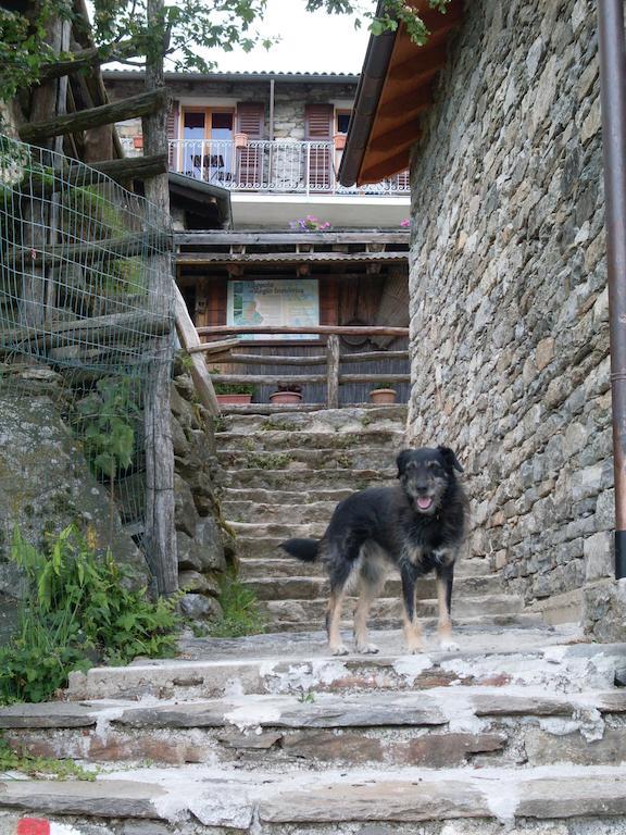 Agriturismo Da Attilio Каннобио Экстерьер фото